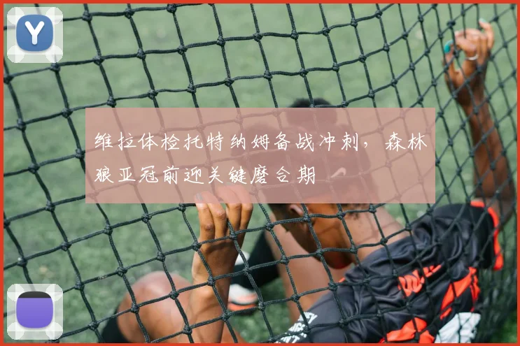维拉体检托特纳姆备战冲刺，森林狼亚冠前迎关键磨合期